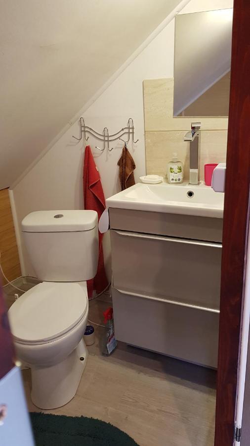 Turystyczny Apartament Na Poddaszu Skoczów Exterior foto